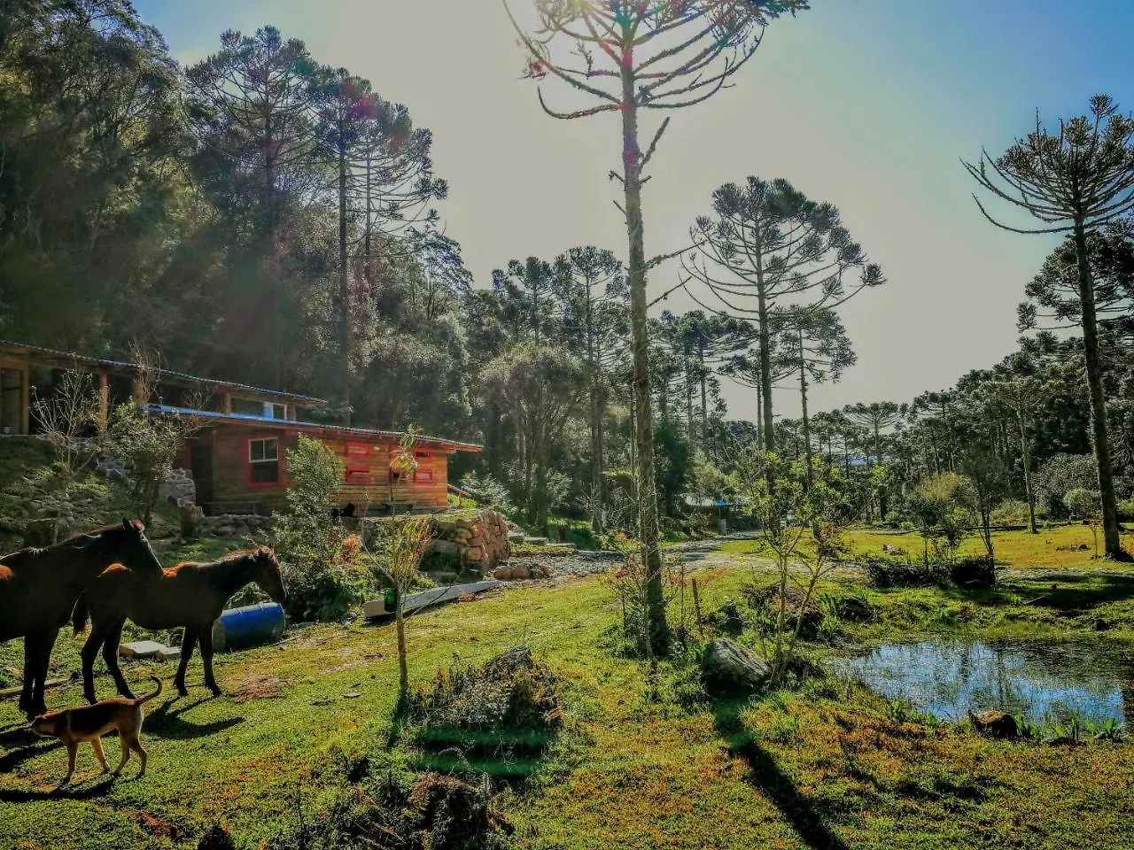 Terras Do Sul Pansiyon Urubici